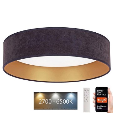 Brilagi - LED prigušiva stropna lampa VELVET SMART LED/24W/230V pr. 45 cm 2700-6500K Wi-Fi Tuya siva/zlatna + daljinski upravljač