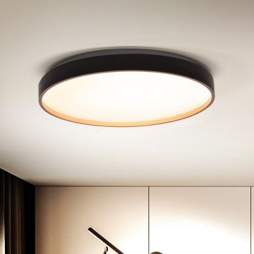 Brilagi - LED prigušiva stropna svetiljka CALA LED/48W/230V 3000-6500K prečnik 38 cm + daljinski upravljač