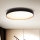 Brilagi - LED prigušiva stropna svetiljka CALA LED/48W/230V 3000-6500K prečnik 38 cm + daljinski upravljač