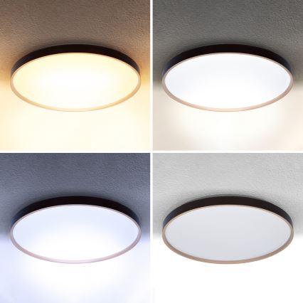 Brilagi - LED prigušiva stropna svetiljka CALA LED/60W/230V 3000-6500K Ø 58 cm + daljinski upravljač