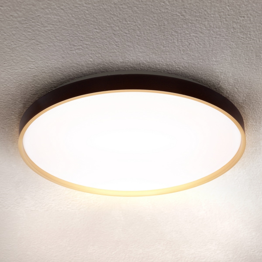Brilagi - LED prigušiva stropna svetiljka CALA LED/60W/230V 3000-6500K Ø 58 cm + daljinski upravljač