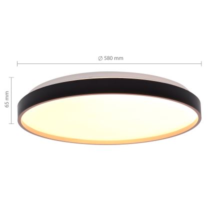 Brilagi - LED prigušiva stropna svetiljka CALA LED/60W/230V 3000-6500K Ø 58 cm + daljinski upravljač