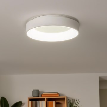 Brilagi - LED prigušiva stropna svetiljka FALCON LED/80W/230V 3000-6500K prečnik 60 cm bela + daljinski upravljač