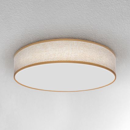 Brilagi - LED Prigušiva stropna svjetiljka CARMEN LED/48W/230V 3000-6500K pr. 40 cm + daljinski upravljač