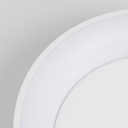 Brilagi -LED Prigušiva stropna svjetiljka FALCON LED/80W/230V 3000-6500K pr. 60 cm bijela + daljinski upravljač