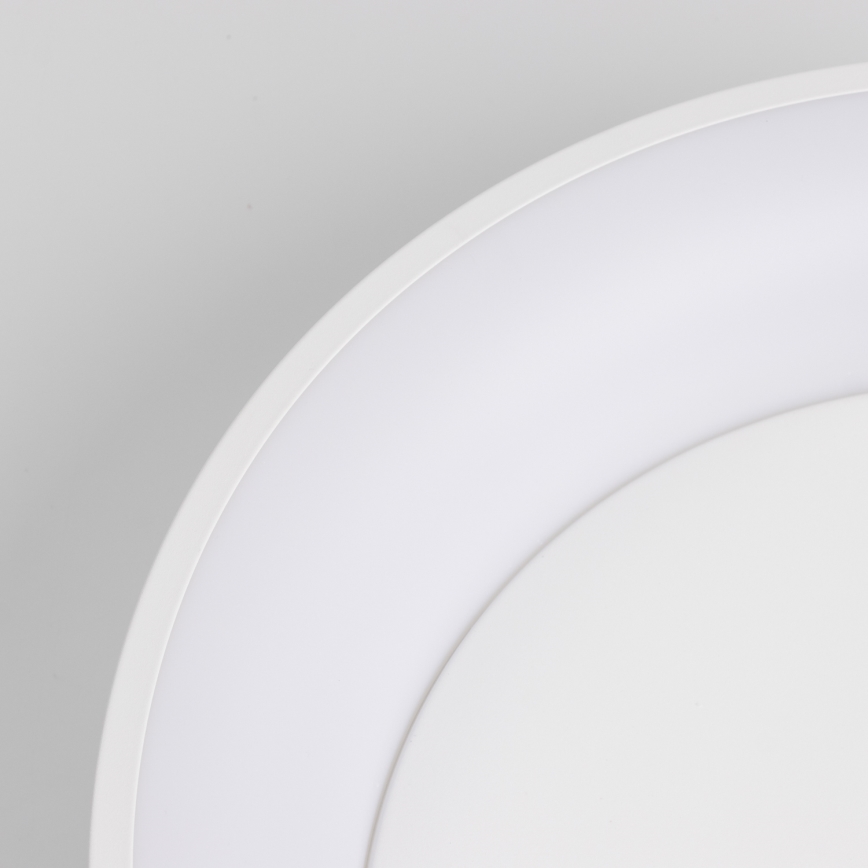 Brilagi -LED Prigušiva stropna svjetiljka FALCON LED/80W/230V 3000-6500K pr. 60 cm bijela + daljinski upravljač