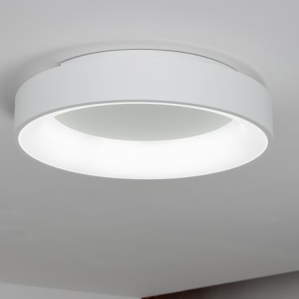 Brilagi -LED Prigušiva stropna svjetiljka FALCON LED/80W/230V 3000-6500K pr. 60 cm bijela + daljinski upravljač