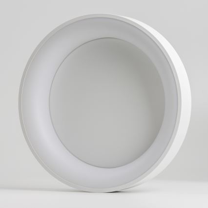 Brilagi -LED Prigušiva stropna svjetiljka FALCON LED/80W/230V 3000-6500K pr. 60 cm bijela + daljinski upravljač