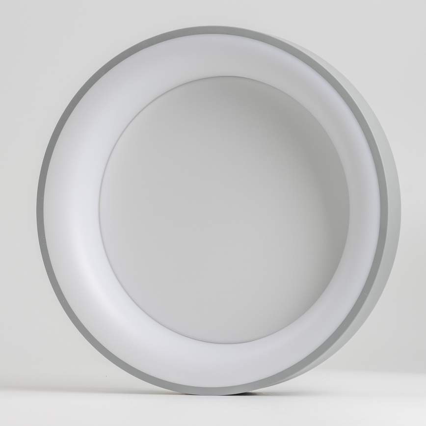Brilagi - LED Prigušiva stropna svjetiljka FALCON LED/40W/230V 3000-6500K siva + daljinski upravljač