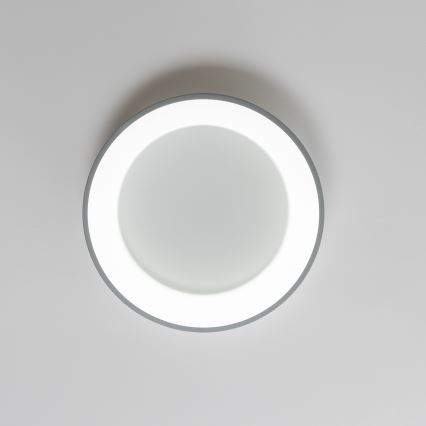 Brilagi - LED Prigušiva stropna svjetiljka FALCON LED/40W/230V 3000-6500K siva + daljinski upravljač