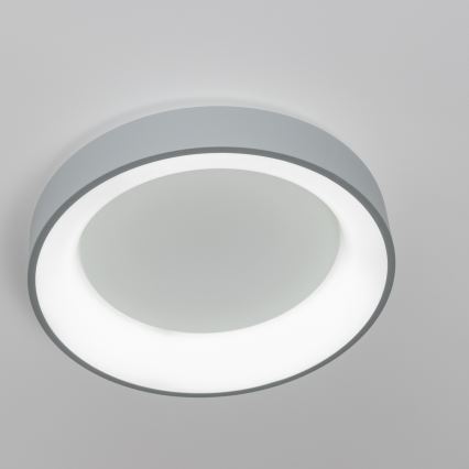 Brilagi - LED Prigušiva stropna svjetiljka FALCON LED/40W/230V 3000-6500K siva + daljinski upravljač