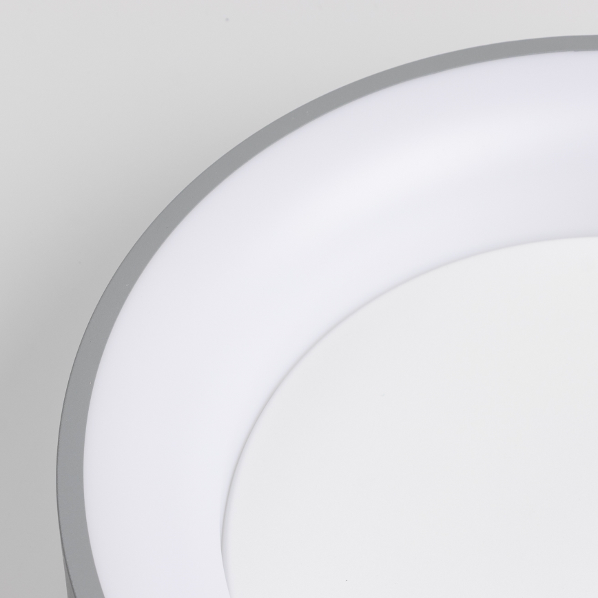 Brilagi - LED Prigušiva stropna svjetiljka FALCON LED/40W/230V 3000-6500K siva + daljinski upravljač