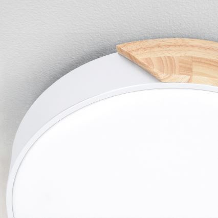 Brilagi - LED prigušiva plafonsko svetlo PILANA LED/60W/230V 3000-6500K hrast/bela pr. 60 cm + daljinski upravljač