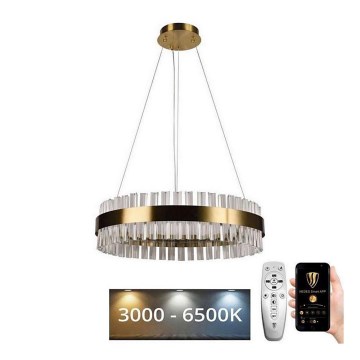 Brilagi - LED Prigušivi kristalni luster na lancu na sajli HALO LED/40W/230V + Daljinski upravljač