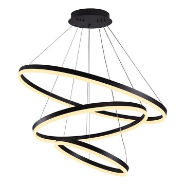 Brilagi - LED Prigušivi luster na sajli CIRCLE LED/125W/230V 3000-6500K crno + Daljinski upravljač