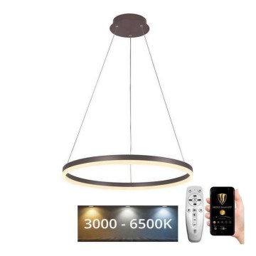 Brilagi - LED Prigušivi luster na sajli CIRCLE LED/42W/230V 3000-6500K braon + Daljinski upravljač