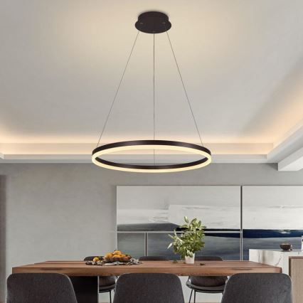 Brilagi - LED Prigušivi luster na sajli CIRCLE LED/42W/230V 3000-6500K braon + Daljinski upravljač