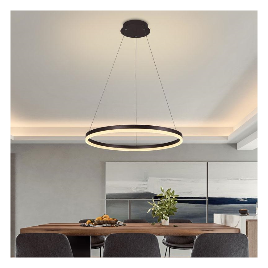 Brilagi - LED Prigušivi luster na sajli CIRCLE LED/42W/230V 3000-6500K braon + Daljinski upravljač