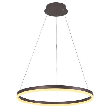 Brilagi - LED Prigušivi luster na sajli CIRCLE LED/42W/230V 3000-6500K braon + Daljinski upravljač