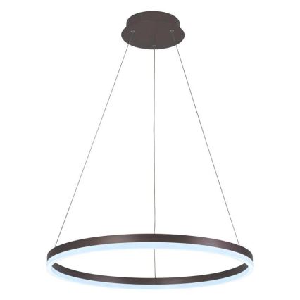 Brilagi - LED Prigušivi luster na sajli CIRCLE LED/42W/230V 3000-6500K braon + Daljinski upravljač
