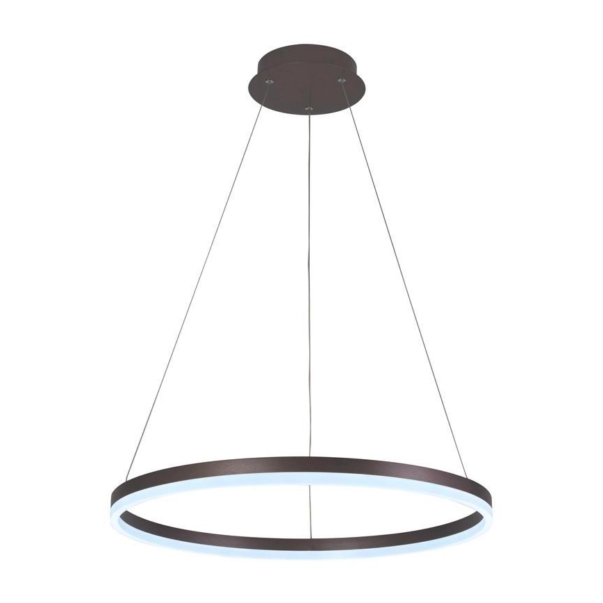 Brilagi - LED Prigušivi luster na sajli CIRCLE LED/42W/230V 3000-6500K braon + Daljinski upravljač