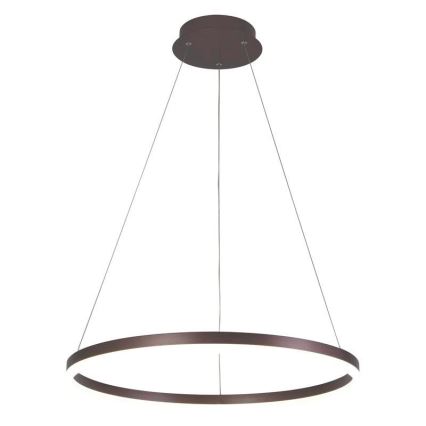 Brilagi - LED Prigušivi luster na sajli CIRCLE LED/42W/230V 3000-6500K braon + Daljinski upravljač