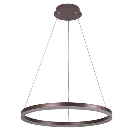 Brilagi - LED Prigušivi luster na sajli CIRCLE LED/42W/230V 3000-6500K braon + Daljinski upravljač
