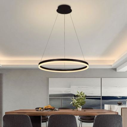 Brilagi - LED Prigušivi luster na sajli CIRCLE LED/42W/230V 3000-6500K + Daljinski upravljač