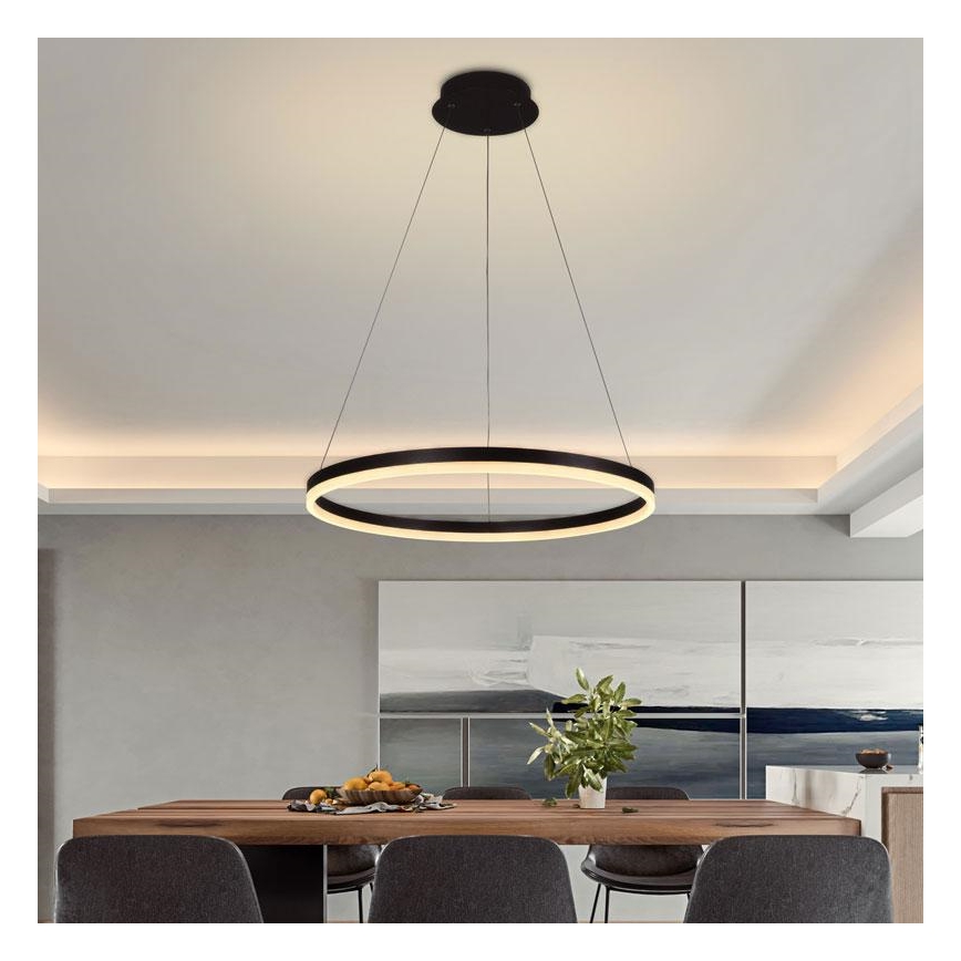 Brilagi - LED Prigušivi luster na sajli CIRCLE LED/42W/230V 3000-6500K + Daljinski upravljač