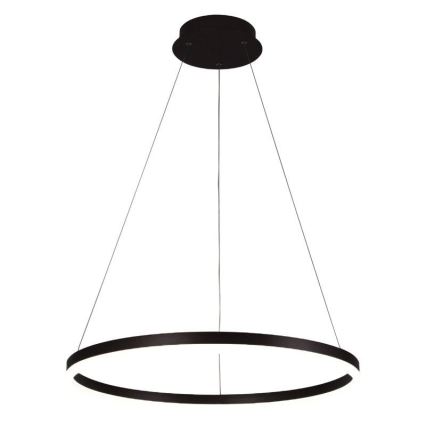Brilagi - LED Prigušivi luster na sajli CIRCLE LED/42W/230V 3000-6500K + Daljinski upravljač