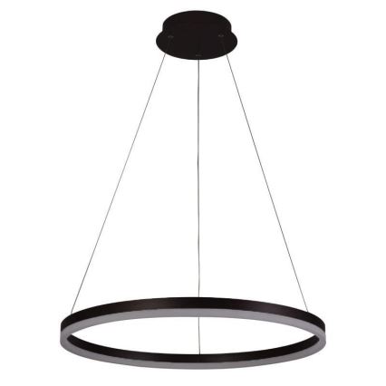 Brilagi - LED Prigušivi luster na sajli CIRCLE LED/42W/230V 3000-6500K + Daljinski upravljač