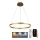 Brilagi - LED Prigušivi luster na sajli CIRCLE LED/42W/230V 3000-6500K + Daljinski upravljač