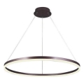 Brilagi - LED Prigušivi luster na sajli CIRCLE LED/55W/230V 3000-6500K braon + Daljinski upravljač