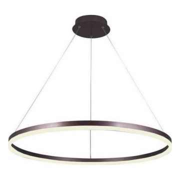 Brilagi - LED Prigušivi luster na sajli CIRCLE LED/55W/230V 3000-6500K braon + Daljinski upravljač