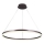Brilagi - LED Prigušivi luster na sajli CIRCLE LED/55W/230V 3000-6500K braon + Daljinski upravljač