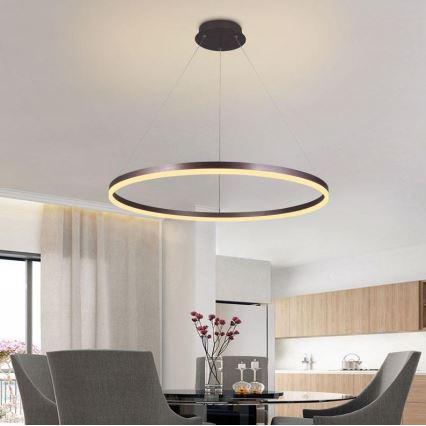Brilagi - LED Prigušivi luster na sajli CIRCLE LED/55W/230V 3000-6500K braon + Daljinski upravljač