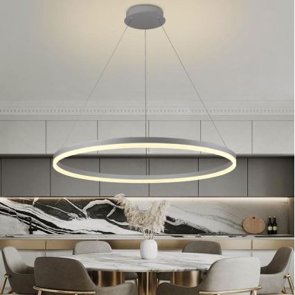 Brilagi - LED Prigušivi luster na sajli CIRCLE LED/55W/230V 3000-6500K srebrno + Daljinski upravljač