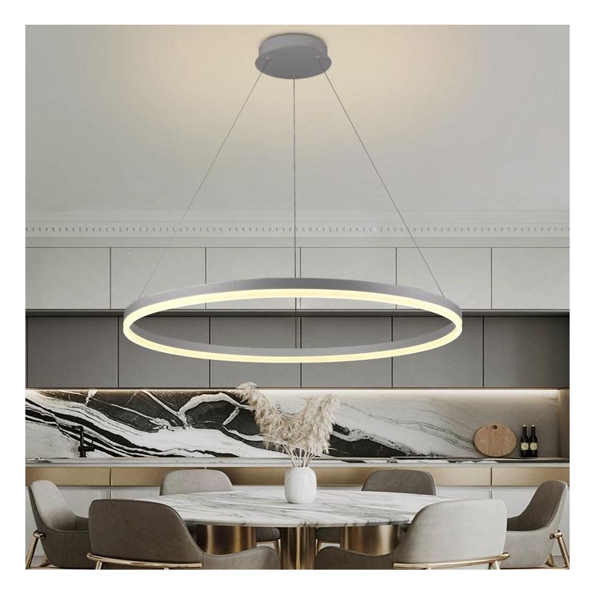 Brilagi - LED Prigušivi luster na sajli CIRCLE LED/55W/230V 3000-6500K srebrno + Daljinski upravljač