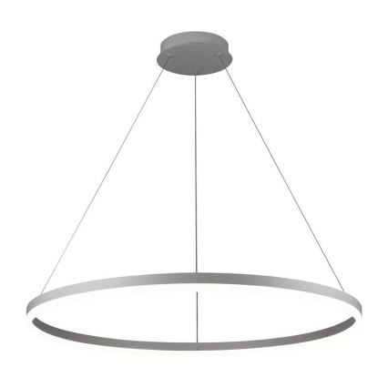 Brilagi - LED Prigušivi luster na sajli CIRCLE LED/55W/230V 3000-6500K srebrno + Daljinski upravljač