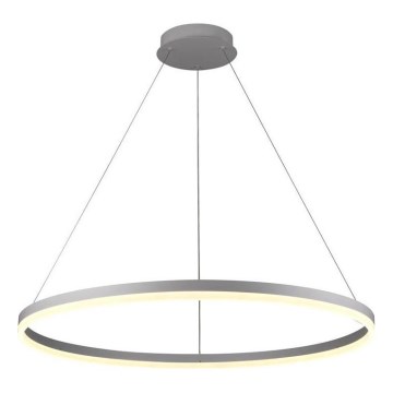 Brilagi - LED Prigušivi luster na sajli CIRCLE LED/55W/230V 3000-6500K srebrno + Daljinski upravljač