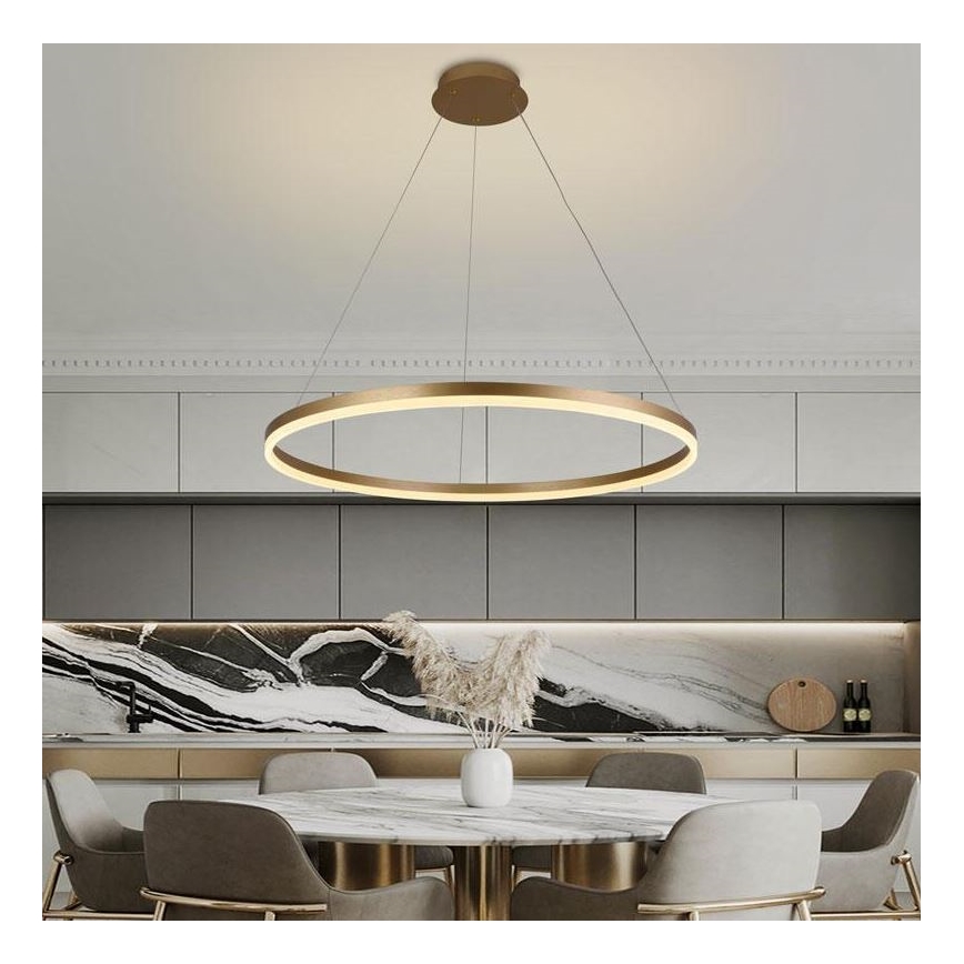 Brilagi - LED Prigušivi luster na sajli CIRCLE LED/55W/230V 3000-6500K zlatna + Daljinski upravljač