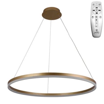 Brilagi - LED Prigušivi luster na sajli CIRCLE LED/55W/230V 3000-6500K zlatna + Daljinski upravljač