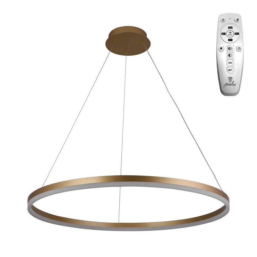 Brilagi - LED Prigušivi luster na sajli CIRCLE LED/55W/230V 3000-6500K zlatna + Daljinski upravljač