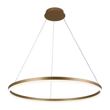 Brilagi - LED Prigušivi luster na sajli CIRCLE LED/55W/230V 3000-6500K zlatna + Daljinski upravljač