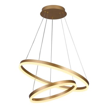 Brilagi - LED Prigušivi luster na sajli CIRCLE LED/70W/230V 3000-6500K zlatna + Daljinski upravljač