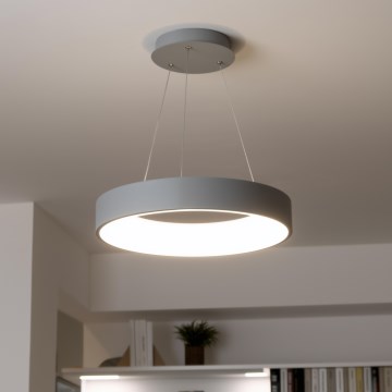 Brilagi - LED Prigušivi luster na sajli FALCON LED/40W/230V 3000-6500K pr. 45 cm sivo + Daljinski upravljač