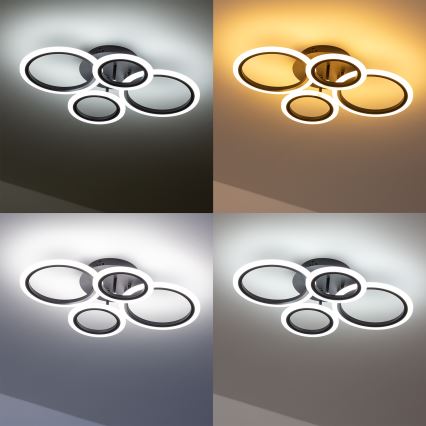 Brilagi - LED Prigušivi nadgradni luster ORBITS LED/50W/230V 3000-6500K Antracit + Daljinski upravljač