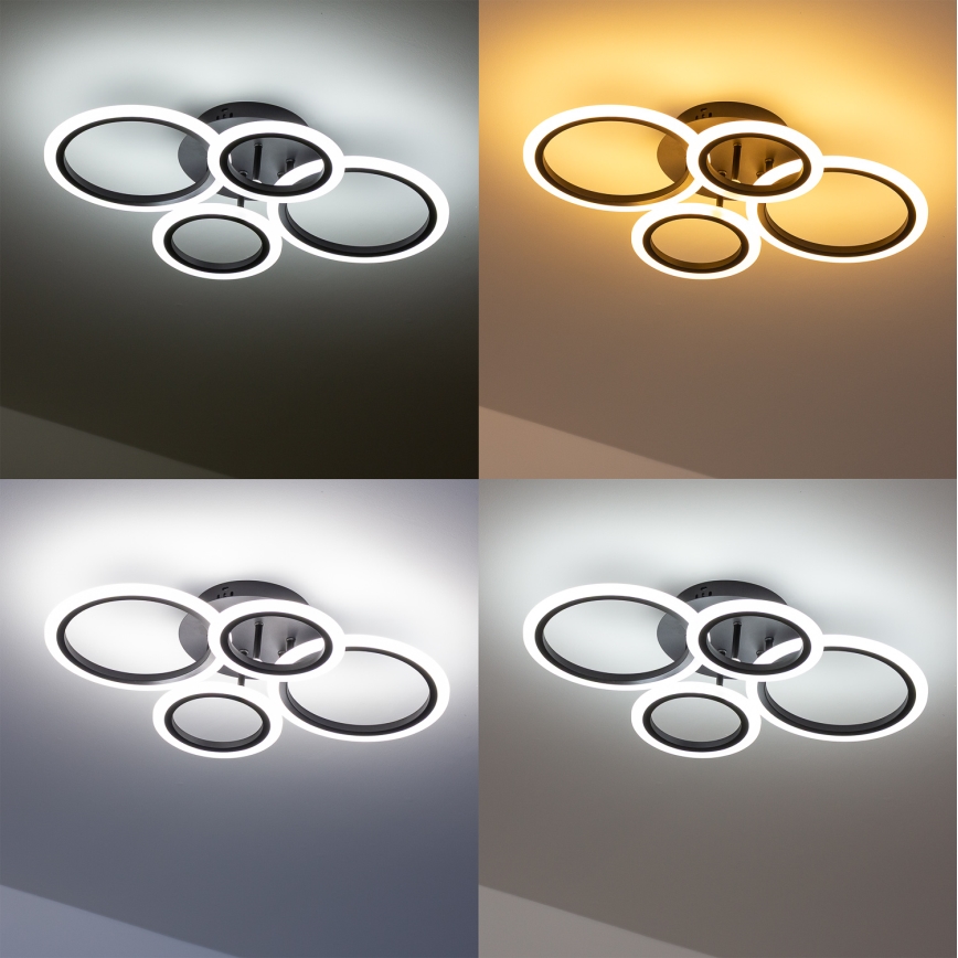 Brilagi - LED Prigušivi nadgradni luster ORBITS LED/50W/230V 3000-6500K Antracit + Daljinski upravljač