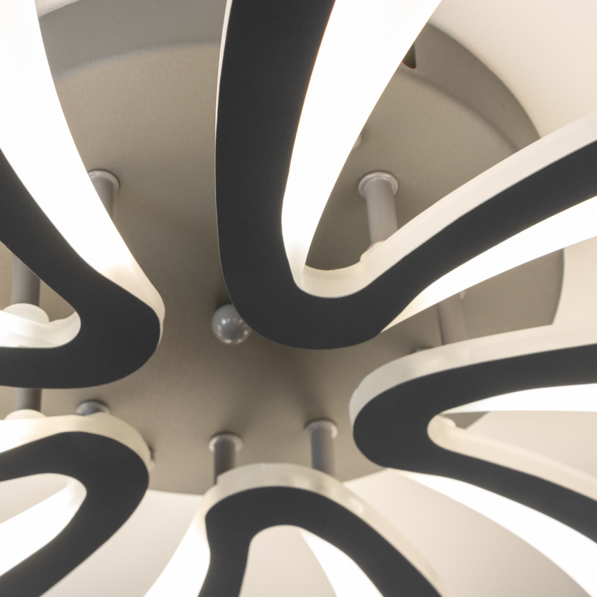 Brilagi - LED Prigušivi nadgradni luster TWIST LED/55W/230V 3000-6500K Antracit + Daljinski upravljač