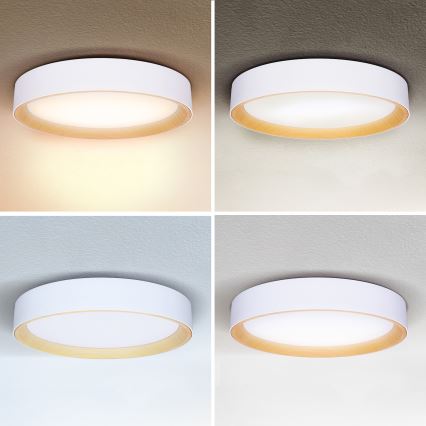 Brilagi - LED Prigušiva plafonjera LARIOS LED/48W/230V 3000-6500K ø 39 cm bela + Daljinski upravljač